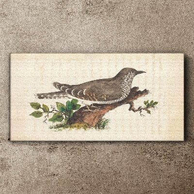 Tablou canvas Cuc pe o creangă