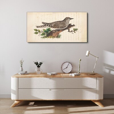 Tablou canvas Cuc pe o creangă