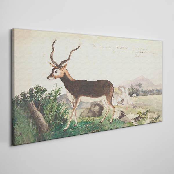 Tablou canvas Antilope pe fundalul peisajului