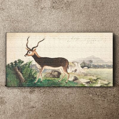 Tablou canvas Antilope pe fundalul peisajului