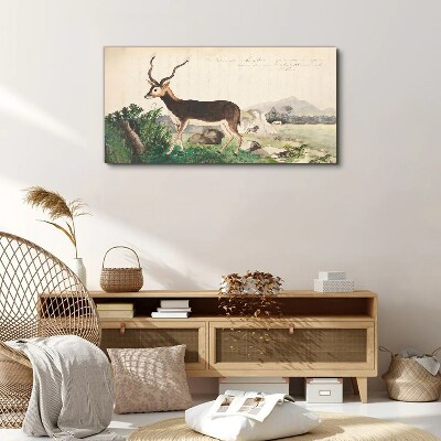 Tablou canvas Desen gazele de animale