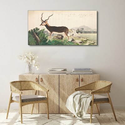 Tablou canvas Antilope pe fundalul peisajului