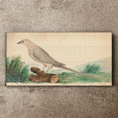 Tablou canvas O pasăre în fundalul naturii