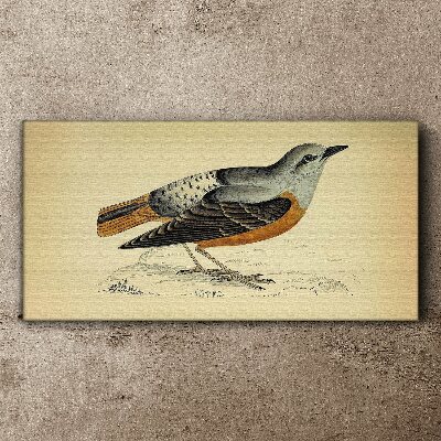 Tablou canvas Pasăre în nuanțe pastelate