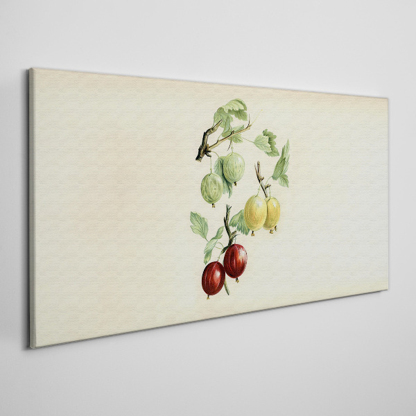 Tablou canvas Fructe pe un fundal pastel