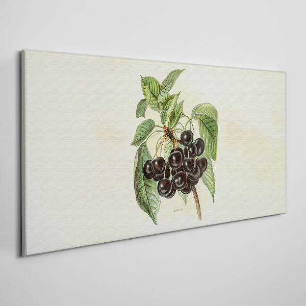 Tablou canvas Fructe negre pe ramură