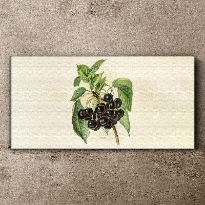 Tablou canvas Fructe negre pe ramură