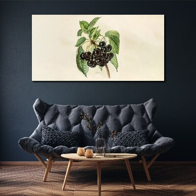 Tablou canvas Fructe negre pe ramură