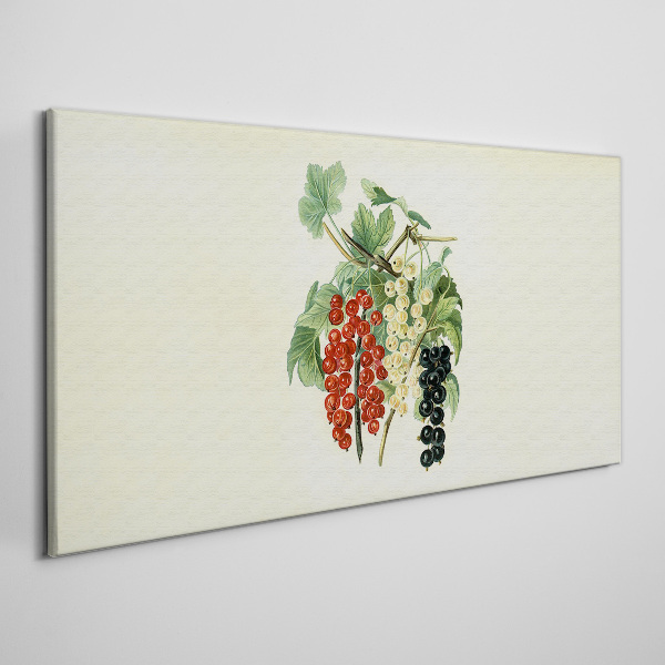 Tablou canvas Buchet de fructe cu coacaze