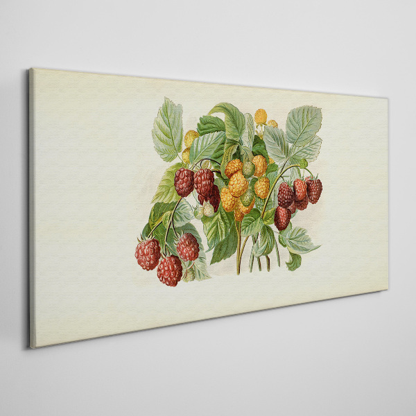 Tablou canvas Buchet fructat de zmeura si mure