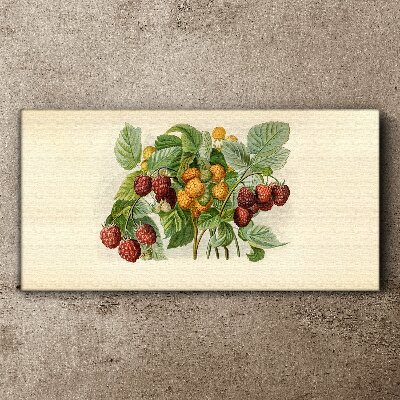Tablou canvas Buchet fructat de zmeura si mure