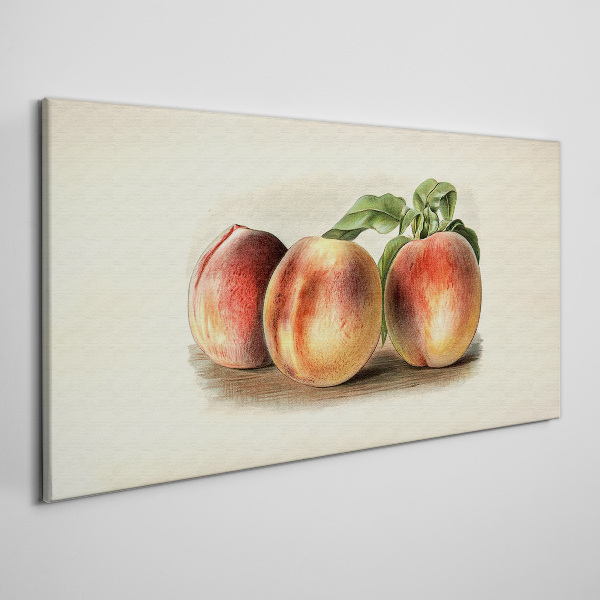 Tablou canvas Trei piersici pe un fundal alb