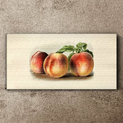Tablou canvas Trei piersici pe un fundal alb