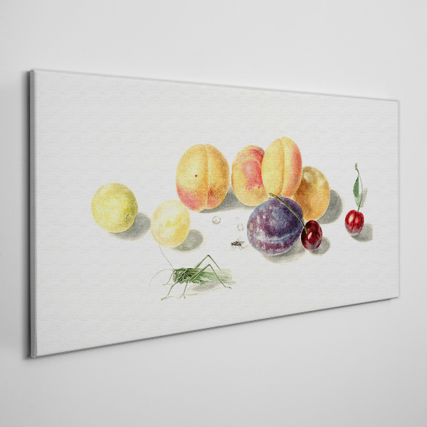 Tablou canvas Fructe pe un fundal alb