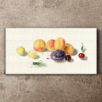 Tablou canvas Fructe pe un fundal alb