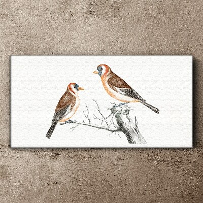 Tablou canvas Animal Bird Branch