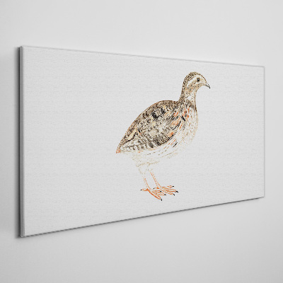 Tablou canvas Pasăre pe un fundal alb