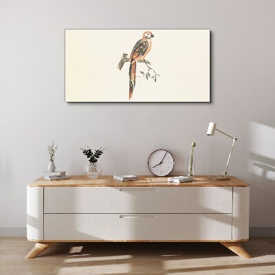 Tablou canvas Animal Bird Branch