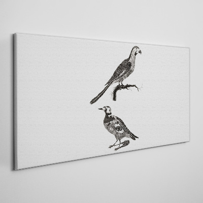 Tablou canvas Păsări pe o ramură