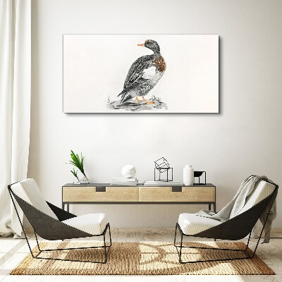 Tablou canvas Rață pe un fundal alb
