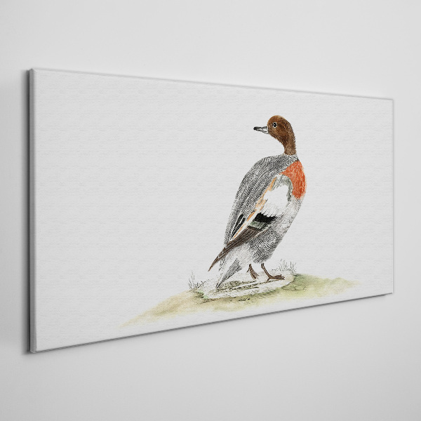 Tablou canvas Rață pe fond natural