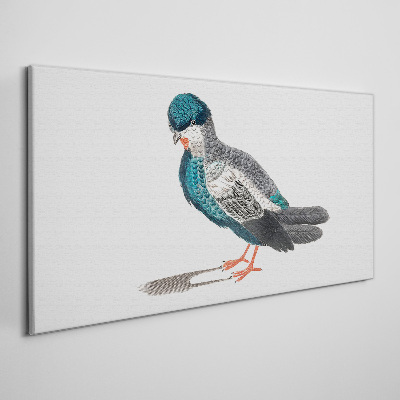 Tablou canvas Pasăre colorată pe fundal alb