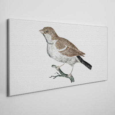 Tablou canvas Privighetoare pe o ramură