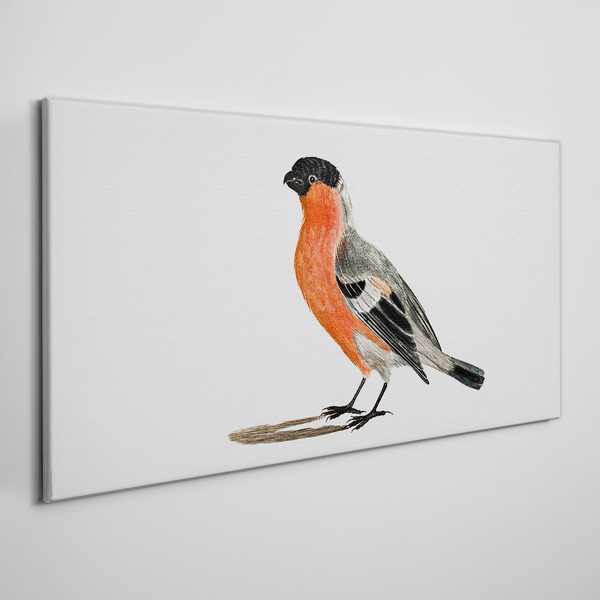 Tablou canvas Robin pe un fundal alb