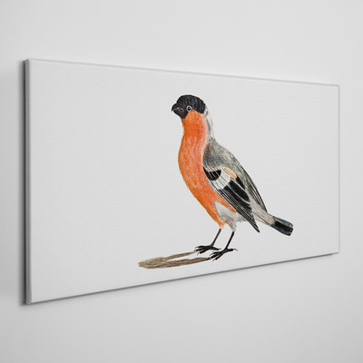 Tablou canvas Robin pe un fundal alb