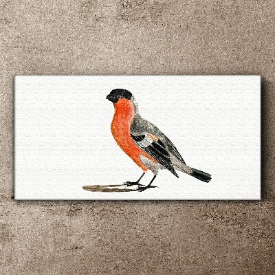 Tablou canvas Robin pe un fundal alb