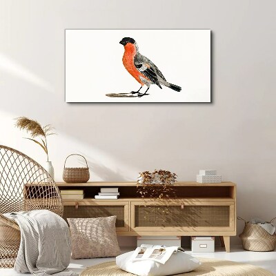 Tablou canvas Robin pe un fundal alb