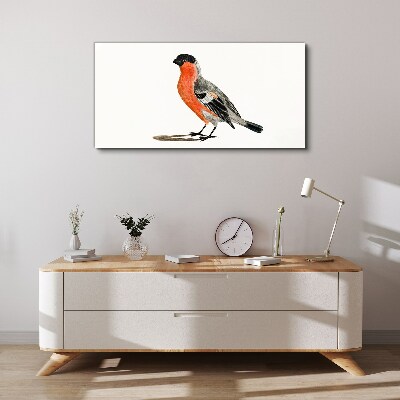 Tablou canvas Robin pe un fundal alb