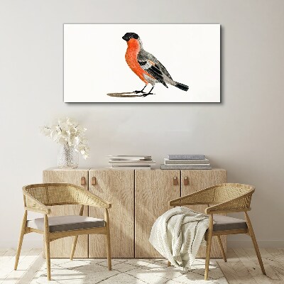 Tablou canvas Robin pe un fundal alb