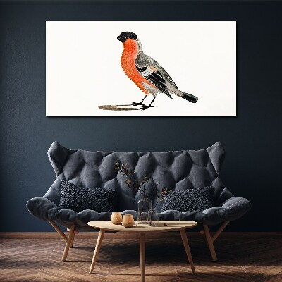 Tablou canvas Robin pe un fundal alb
