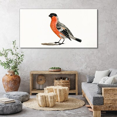 Tablou canvas Robin pe un fundal alb