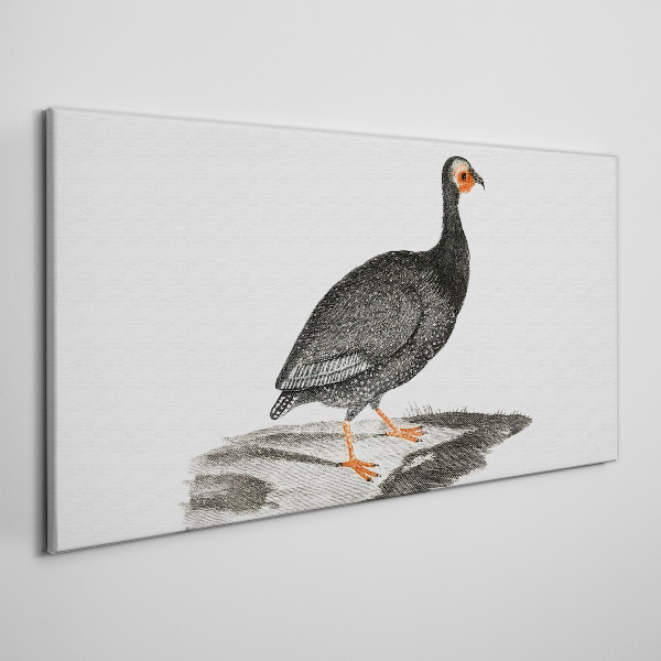 Tablou canvas Pasăre neagră pe fundal alb