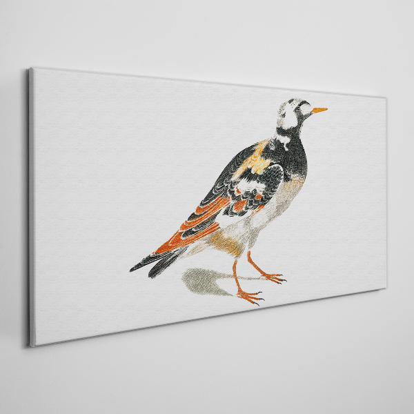 Tablou canvas Pasăre pe un fundal alb