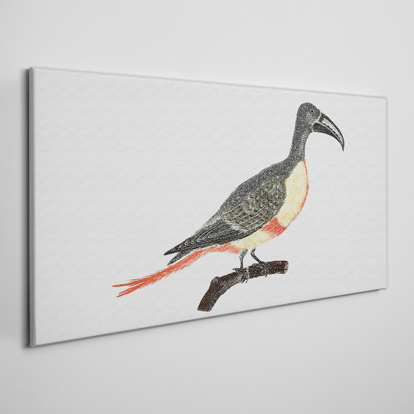Tablou canvas Tucan pe o ramură