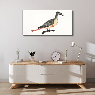 Tablou canvas Tucan pe o ramură