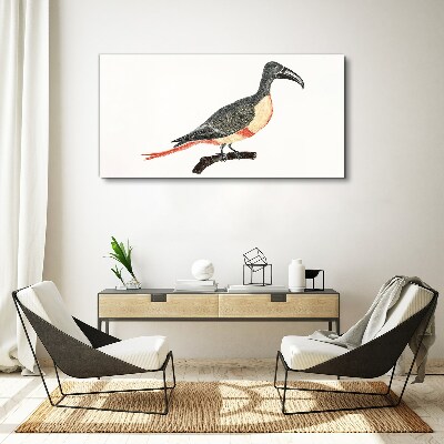Tablou canvas Tucan pe o ramură