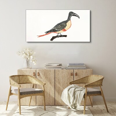 Tablou canvas Tucan pe o ramură