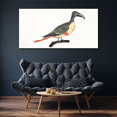 Tablou canvas Tucan pe o ramură