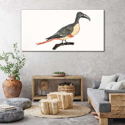 Tablou canvas Tucan pe o ramură