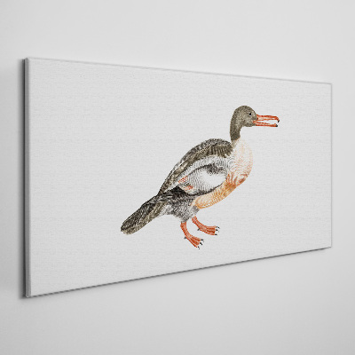 Tablou canvas Rață pe un fundal de pânză albă