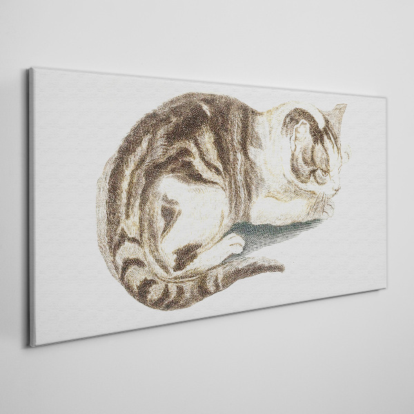 Tablou canvas Pisică somnoroasă pe fundal alb