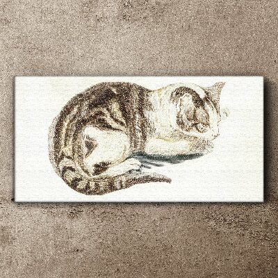 Tablou canvas Pisică somnoroasă pe fundal alb