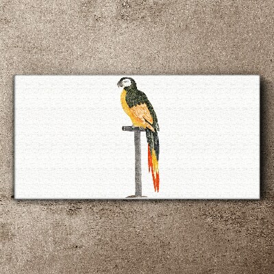 Tablou canvas Un papagal pe un perete alb