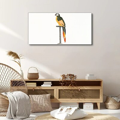 Tablou canvas Un papagal pe un perete alb