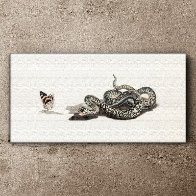 Tablou canvas Desen animal șarpe fluture