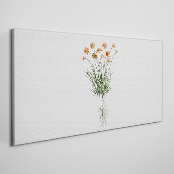 Tablou canvas Flori cu rădăcini